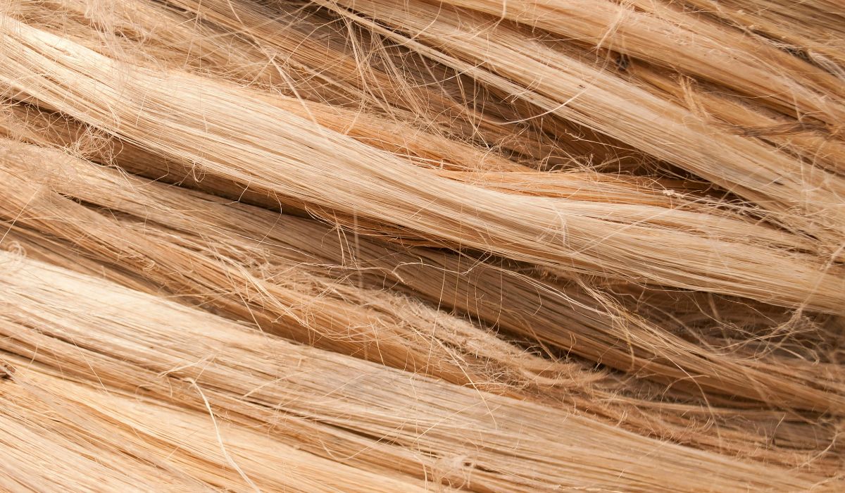 Philip Martin's products for dry hair